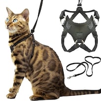 Set De Arnés Y Correa Para Gatos Outdoorbengal Houdini™ Para Gatito - Venta Internacional.