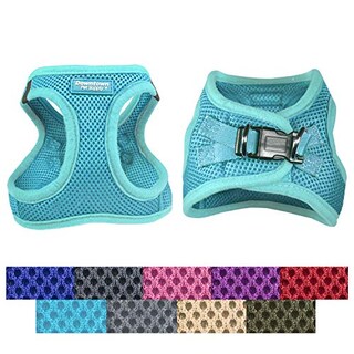 Foto 1 | Foto 1 | Arnés Para Perros Downtown Pet Supply Sin Tirones Step-in Azul Claro S - Venta Internacional.