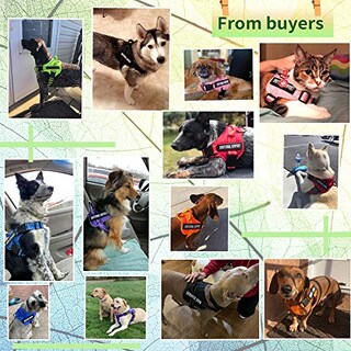 Foto 5 | Foto 5 | Arnés Para Perros De Servicio Voopet Reflectante Para Perros - Venta Internacional.