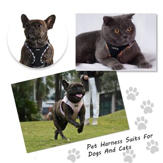 Foto 5 | Foto 5 | Arnés Para Perros Amtor Small Con Correa Para Entrenamiento Y Caminata - Venta Internacional.