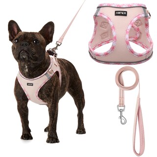 Foto 1 | Foto 1 | Arnés Para Perros Amtor Small Con Correa Para Entrenamiento Y Caminata - Venta Internacional.