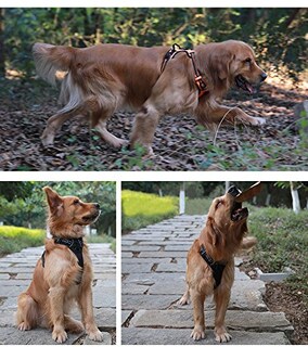Foto 4 | Foto 4 | Arnés Para Perros Juxzh Truelove Soft Front Con Mango Reflectante - Venta Internacional.