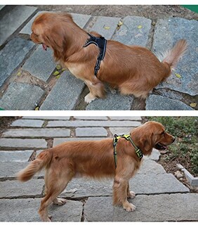 Foto 5 | Foto 5 | Arnés Para Perros Juxzh Truelove Soft Front Con Mango Reflectante - Venta Internacional.