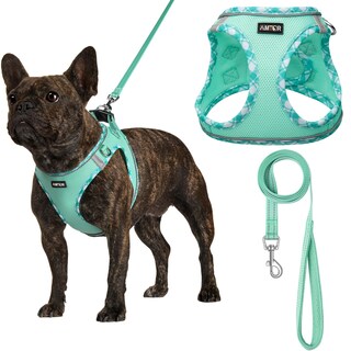 Foto 1 | Foto 1 | Arnés Para Perros Amtor Small Con Correa Para Entrenamiento Y Caminata - Venta Internacional.