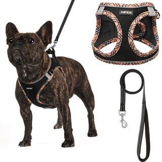 Foto 1 | Foto 1 | Arnés Para Perros Amtor Small Con Correa Para Entrenamiento Y Caminata - Venta Internacional.