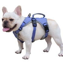 Arnés Para Perros Huntboo Escape Proof Reflectivo Technicolor Azul - Venta Internacional.