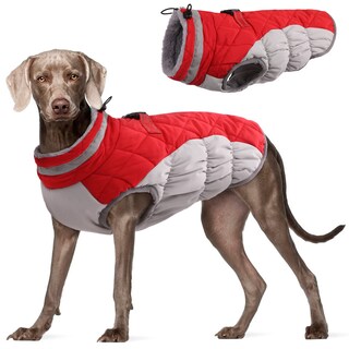 Foto 1 | Foto 1 | Abrigo Para Perro Fuamey Chaleco Polar Acolchado De Invierno Impermeable Rojo Xxxl - Venta Internacional.