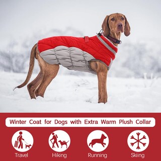 Foto 3 | Foto 3 | Abrigo Para Perro Fuamey Chaleco Polar Acolchado De Invierno Impermeable Rojo Xxxl - Venta Internacional.
