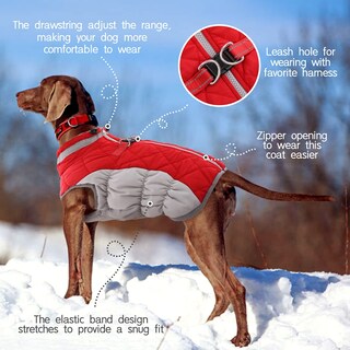 Foto 4 | Foto 4 | Abrigo Para Perro Fuamey Chaleco Polar Acolchado De Invierno Impermeable Rojo Xxxl - Venta Internacional.