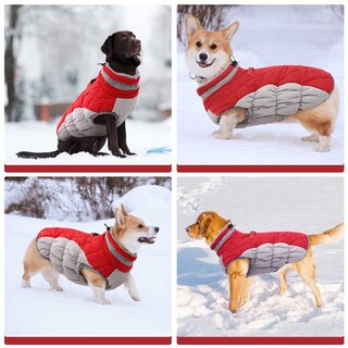 Foto 7 | Foto 7 | Abrigo Para Perro Fuamey Chaleco Polar Acolchado De Invierno Impermeable Rojo Xxxl - Venta Internacional.