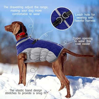 Foto 4 | Foto 4 | Abrigo Fuamey Chaleco Polar Acolchado De Invierno Azul Xxxl Para Perro - Venta Internacional.