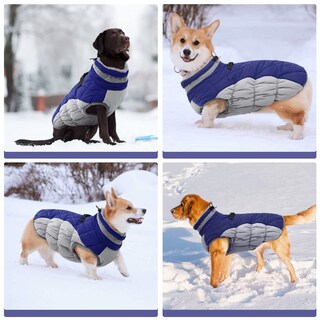 Foto 7 | Foto 7 | Abrigo Fuamey Chaleco Polar Acolchado De Invierno Azul Xxxl Para Perro - Venta Internacional.