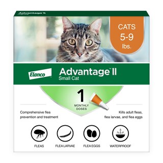 Foto 1 | Foto 1 | Tratamiento Y Prevención De Pulgas Advantage Ii Para Gatos Pequeños 2 3 A 4 1 Kg - Venta Internacional.