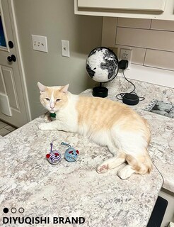 Foto 5 | Foto 5 | Juego De 14 Juguetes Para Gatos Diyuqishi Con Hierba Gatera Orgánica Para Gatos De Interior - Venta Internacional.