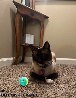 Foto 7 | Foto 7 | Juego De 14 Juguetes Para Gatos Diyuqishi Con Hierba Gatera Orgánica Para Gatos De Interior - Venta Internacional.