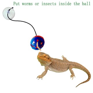 Foto 2 | Foto 2 | Set De Juguetes Koomduk Dragón Barbudo Reptil Lagarto Paquete De 7 Bolas - Venta Internacional.