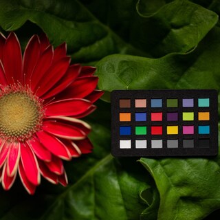 Foto 4 | Foto 4 | Colorchecker Classic Nano Calibrite Ccc-nano - Venta Internacional.