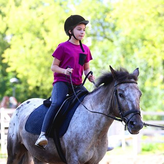 Foto 4 | Foto 4 | Casco Xiaozxwlhq Ajustable Para Montar A Caballo Para Niños De 2 A 6 Años - Venta Internacional.