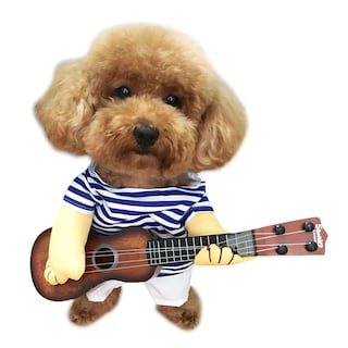 Foto 1 | Foto 1 | Disfraz De Mascota Nacoco Guitarra Para Perro Y Gato Halloween Y Navidad - Venta Internacional.