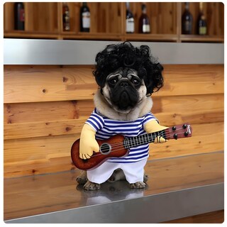 Foto 2 | Foto 2 | Disfraz De Mascota Nacoco Guitarra Para Perro Y Gato Halloween Y Navidad - Venta Internacional.