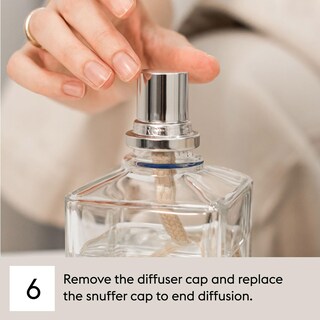 Foto 7 | Foto 7 | Recarga De Fragancia Maison Berger Ocean Breeze 500 Ml - Venta Internacional.