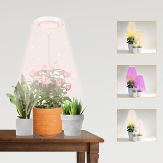 Foto 1 | Foto 1 | Luz Led De Cultivo Gooingtop Halo Para Plantas De Interior Con Temporizador - Venta Internacional.