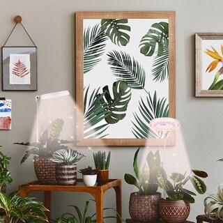 Foto 2 | Foto 2 | Luz Led De Cultivo Gooingtop Halo Para Plantas De Interior Con Temporizador - Venta Internacional.