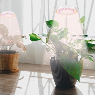 Foto 3 | Foto 3 | Luz Led De Cultivo Gooingtop Halo Para Plantas De Interior Con Temporizador - Venta Internacional.