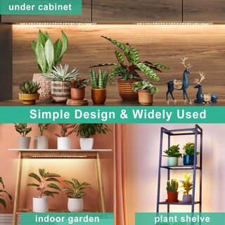 Foto 2 | Foto 2 | Plant Grow Light Lbw 405 Led De Espectro Completo De 40 W Paquete De 3 - Venta Internacional.