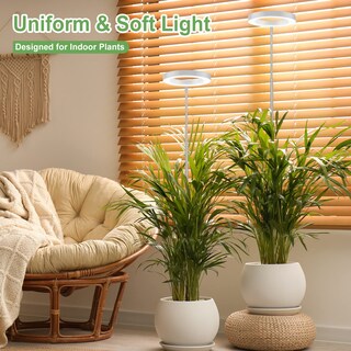 Foto 6 | Foto 6 | Grow Lights Lbw 144 Led De Espectro Completo Para Plantas De Interior Paquete De 2 - Venta Internacional.