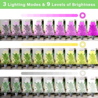 Foto 4 | Foto 4 | Luz Led De Cultivo Weeaeew De Espectro Completo Con Temporizador Para Plantas De Interior - Venta Internacional.