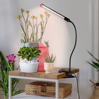 Foto 5 | Foto 5 | Temporizador Fecida De Espectro Completo Clip On Grow Lights De 9 W Y 1000 Lm - Venta Internacional.