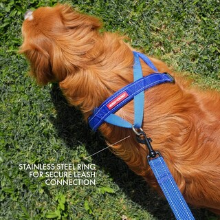 Foto 4 | Foto 4 | Arnés Para Perros Ezydog Premium Quick Fit Ajustable Verde - Venta Internacional.