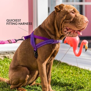 Foto 7 | Foto 7 | Arnés Para Perros Ezydog Premium Quick Fit Ajustable Verde - Venta Internacional.