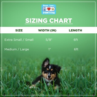 Foto 4 | Foto 4 | Correa Para Perro Pawtitas Reciclada De 6 Pies Con Costuras Reflectantes Azul - Venta Internacional.