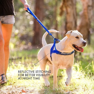 Foto 6 | Foto 6 | Arnés Para Perros Ezydog Premium Quick Fit Ajustable Rosa Xl - Venta Internacional.