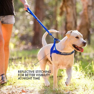 Foto 6 | Foto 6 | Arnés Para Perros Ezydog Premium Quick Fit Ajustable Verde - Venta Internacional.