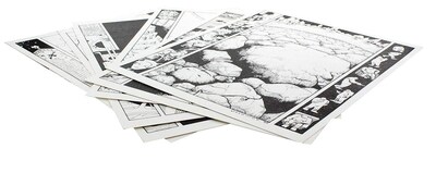 Foto 2 | Foto 2 | Portafolio De Impresión Artística Dark Horse Comics Paul Chadwick Concrete - Venta Internacional.