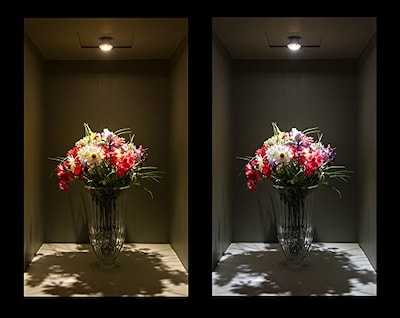 Foto 7 | Foto 7 | Bombillas Led Cbconcept Mr11 Gu4.0 2 W 230 Lm 3000 K Paquete De 10 - Venta Internacional.