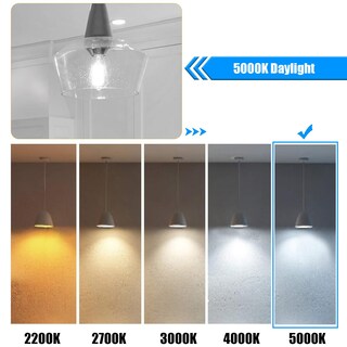 Foto 4 | Foto 4 | Bombilla Led Winsaled Edison St19 4 W 5000 K 400 Lm E26 Paquete De 12 - Venta Internacional.