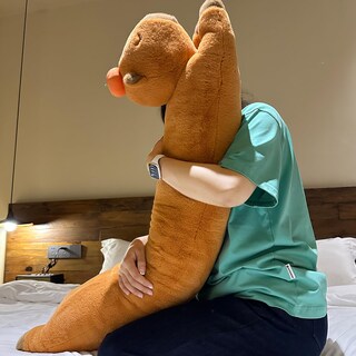 Foto 4 | Foto 4 | Almohada De Felpa Hofun4u Capybara Con Peluche De Caqui - Venta Internacional.