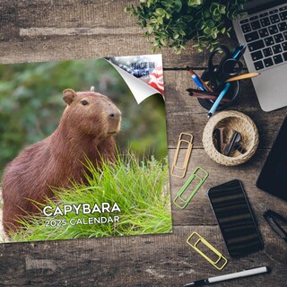 Foto 5 | Foto 5 | Calendario De Pared Megacalendars Capybara 2024 2025 Mensual - Venta Internacional.