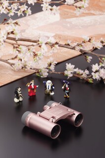 Foto 2 | Foto 2 | Binocular Opera Glass Vixen Optics Opera Glass Rosa 6x16 - Venta Internacional.