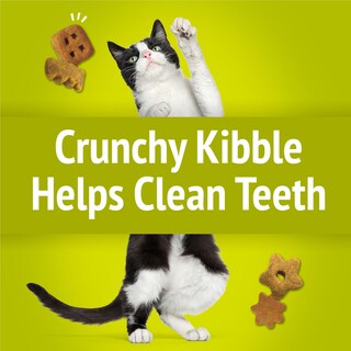Foto 5 | Foto 5 | Cat Treats Friskies Party Mix Morning Munch Crunch 60 G X10 - Venta Internacional.