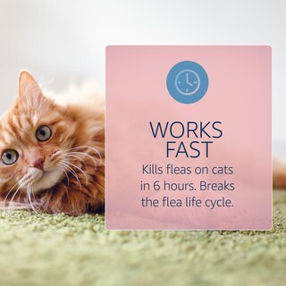 Foto 2 | Foto 2 | Tratamiento Y Prevención De Pulgas Y Garrapatas Catego Para Gatos - Venta Internacional.