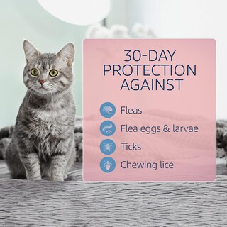 Foto 3 | Foto 3 | Tratamiento Y Prevención De Pulgas Y Garrapatas Catego Para Gatos - Venta Internacional.