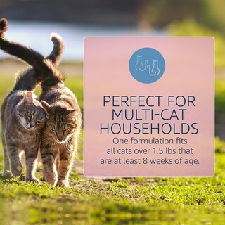 Foto 4 | Foto 4 | Tratamiento Y Prevención De Pulgas Y Garrapatas Catego Para Gatos - Venta Internacional.