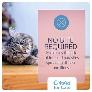 Foto 4 | Foto 4 | Tratamiento Y Prevención De Pulgas Y Garrapatas Catego Para Gatos - Venta Internacional.
