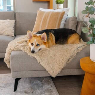 Foto 6 | Foto 6 | Manta Para Perros Best Friends De Sheri Calming Shag Taupe - Venta Internacional.
