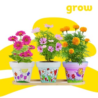 Foto 7 | Foto 7 | Kit De Fundición Pintura Y Plantas Dan&darci Para Niños Y Adolescentes De 8 A 14 Años - Venta Internacional.